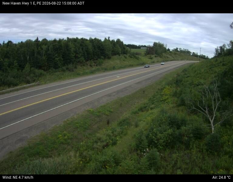 Rural Municipality of Brackley › South-West: New Haven