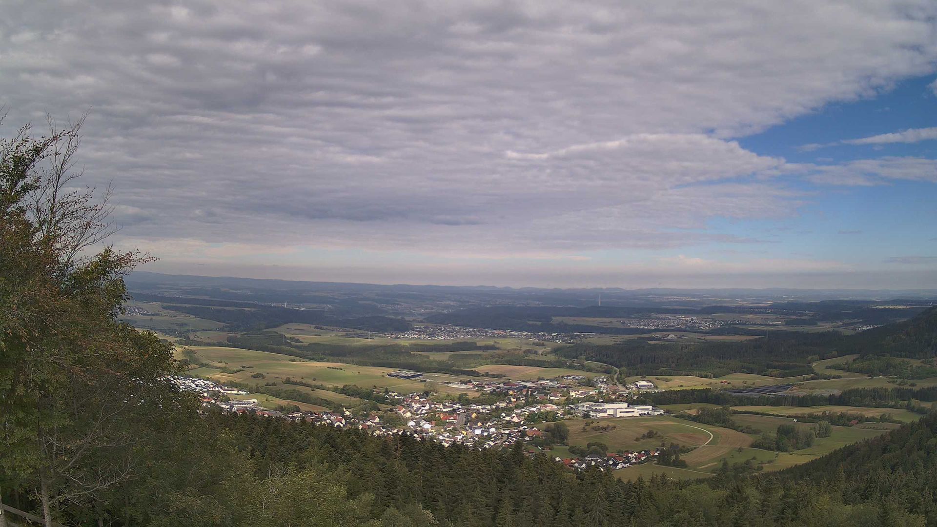 Denkingen › West: Klippeneck