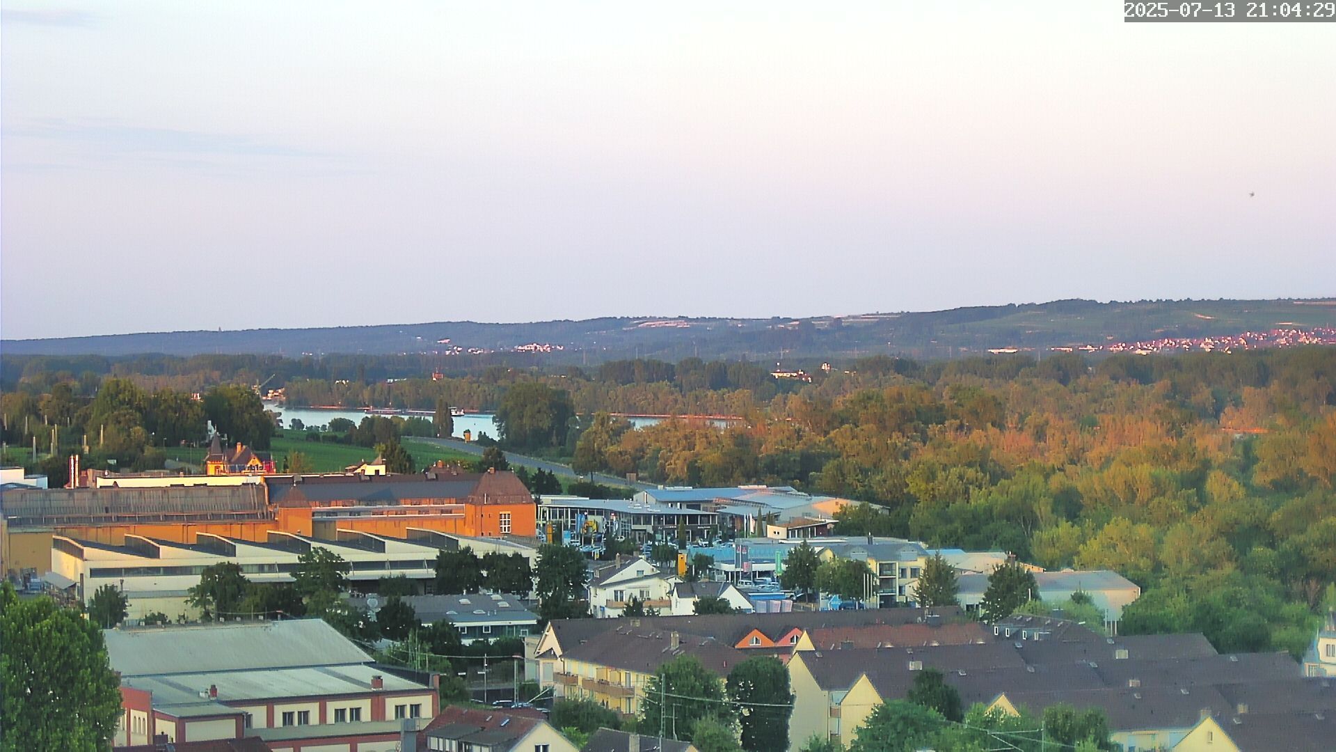 Geisenheim › South: B42