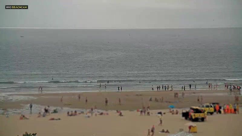 Matosinhos e Leca da Palmeira: Matosinhos