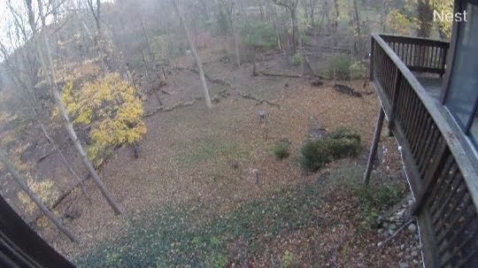 Benton Harbor › East