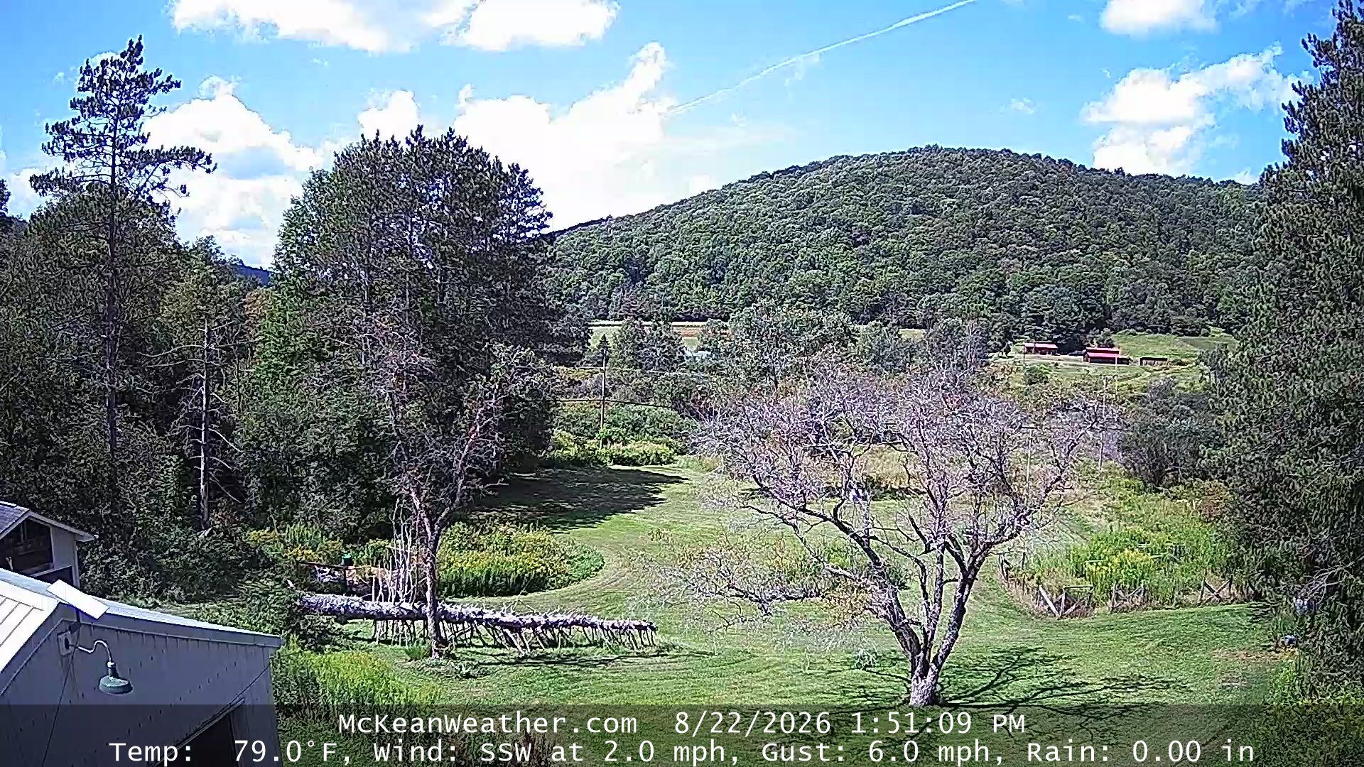 Annin Township › North-West: Wildcat Hollow - Marvin Creek