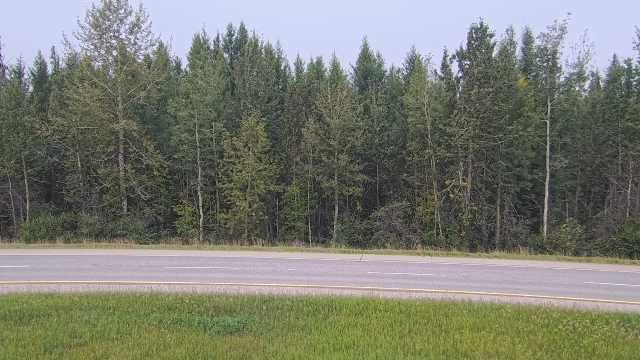 Yellowhead County: Hwy 16: West of Hwy 32 near Peers