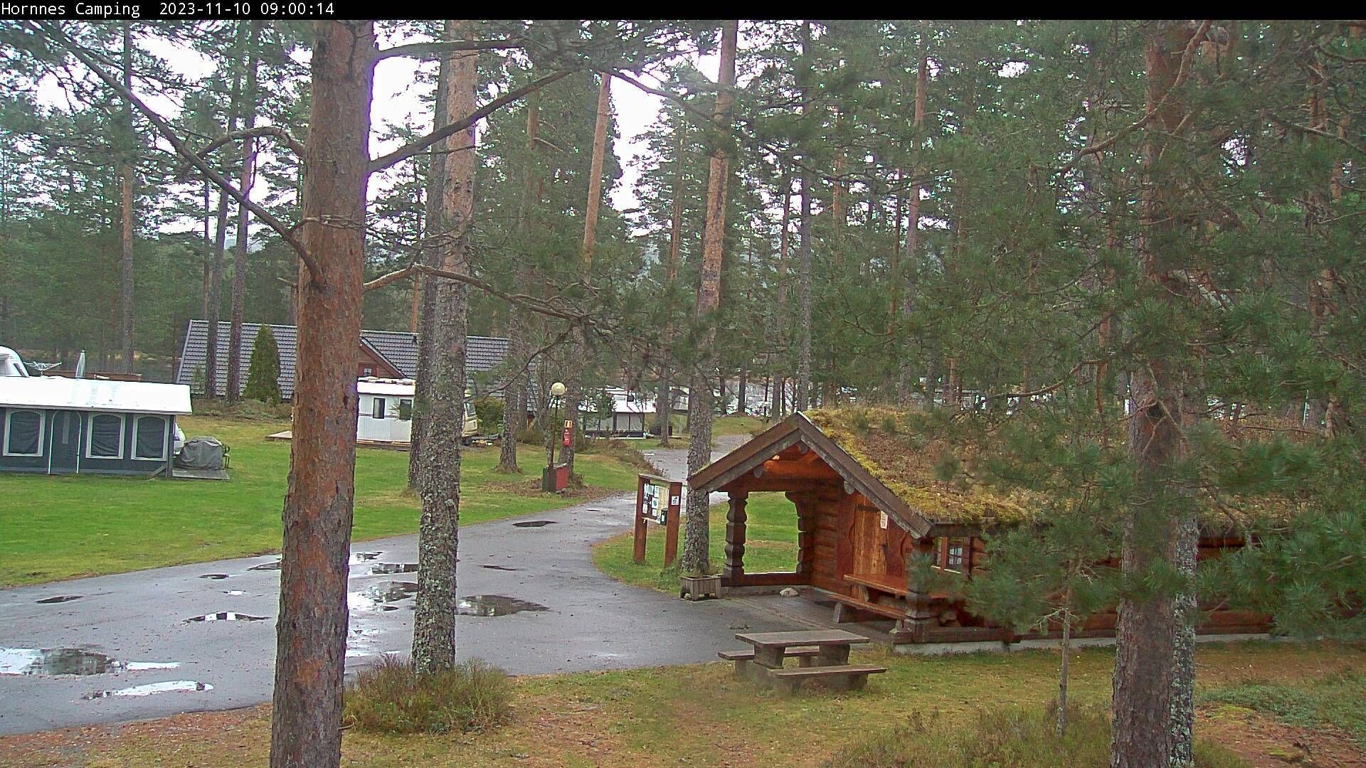 Hornnes: Camping 1