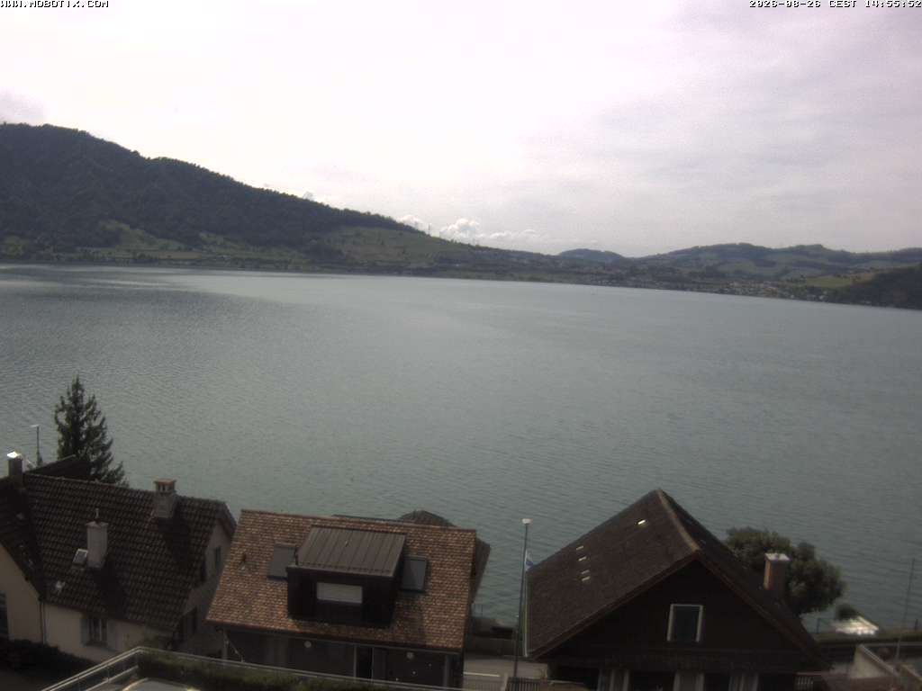 Walchwil › West