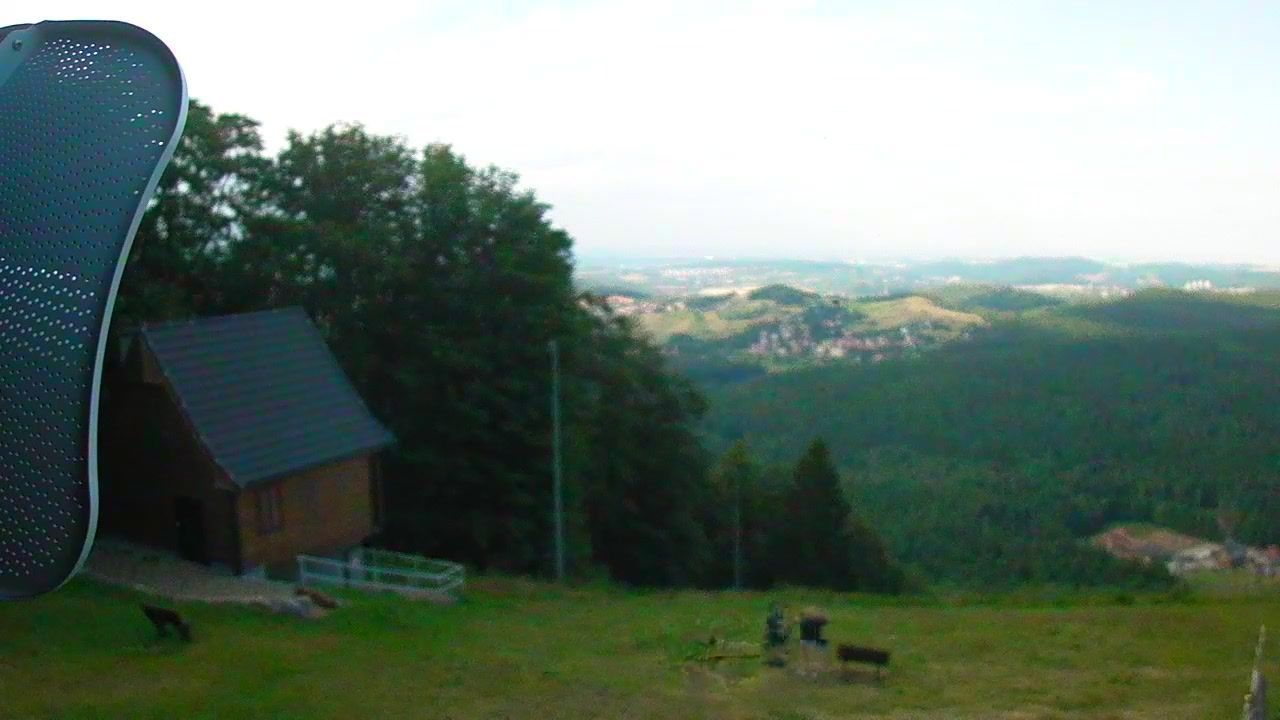 Boguszow-Gorce › South: Dzikowiec