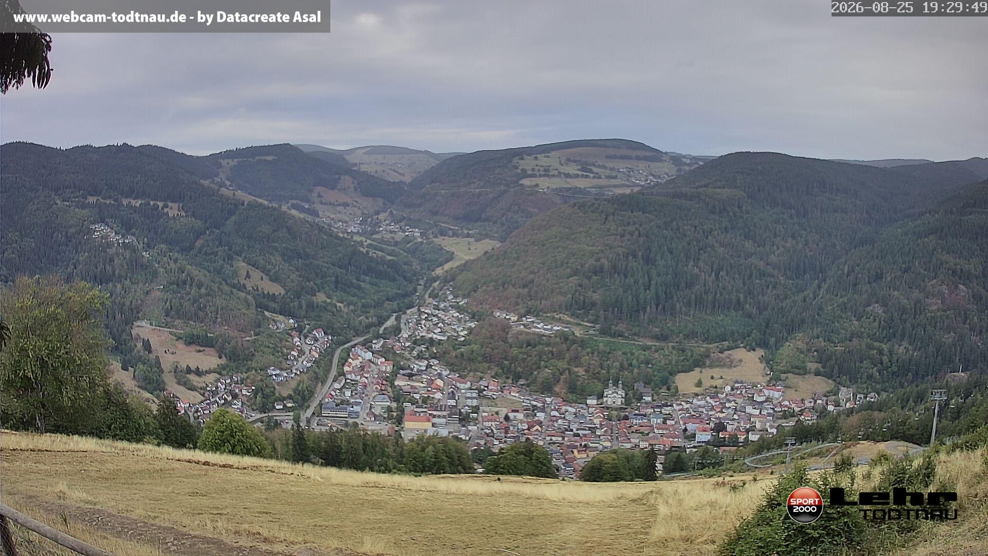 Todtnau › North-West: Hasenhorn - Aftersteg - Todtnauberg - Muggenbrunn - Notschrei