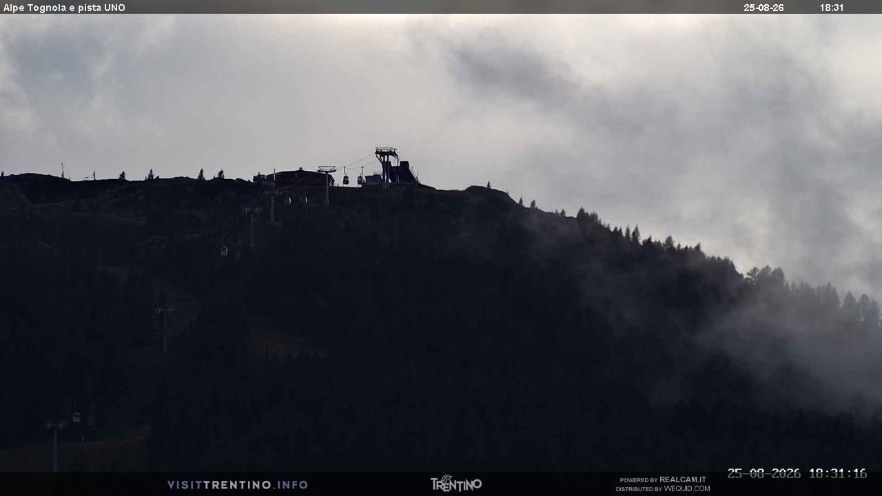 Primiero San Martino di Castrozza: Alpe Tognola