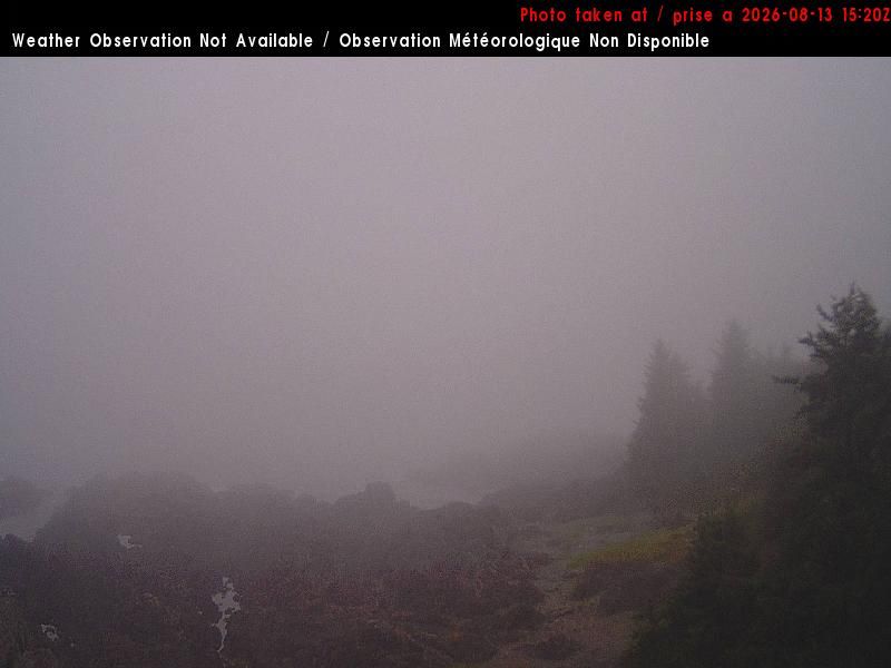 Ucluelet › West: AmphitritePointLighthouse