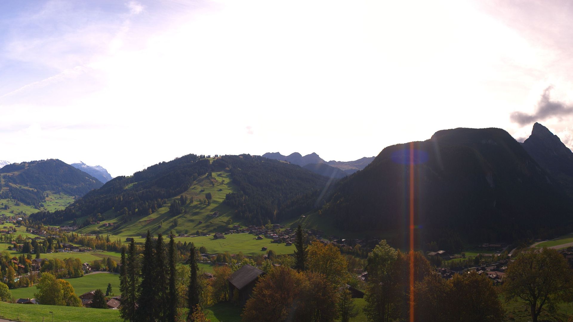 Saanen