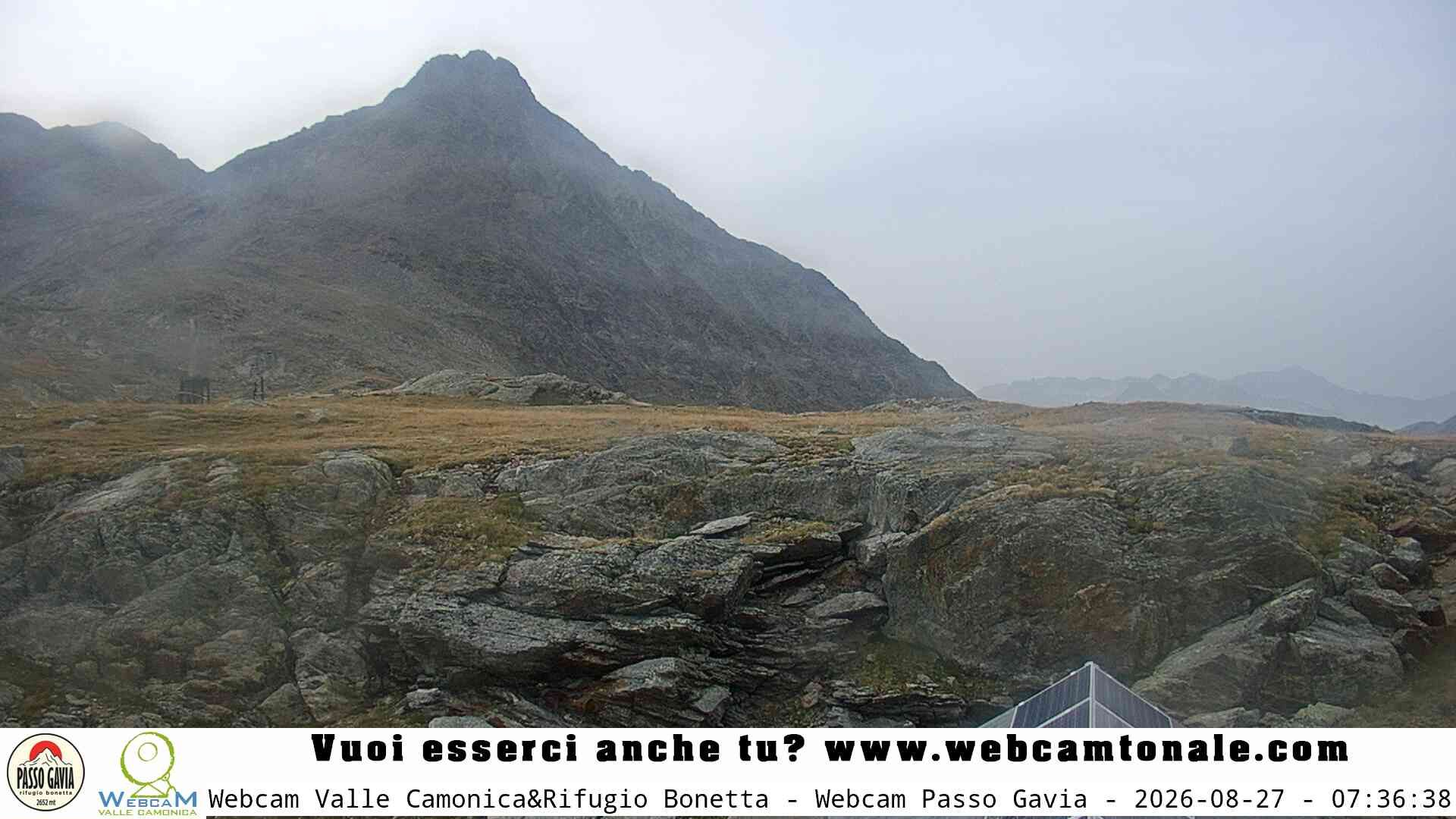 Valfurva › South: Gavia Pass