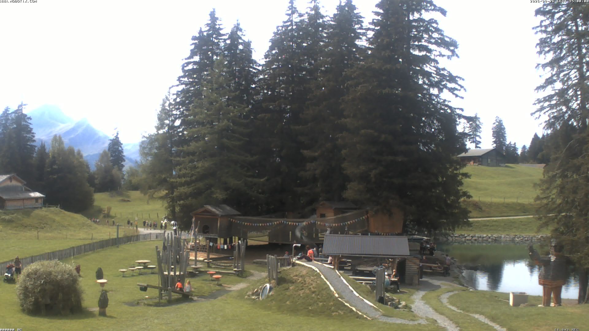 Hasliberg: Bidmi - Meiringen