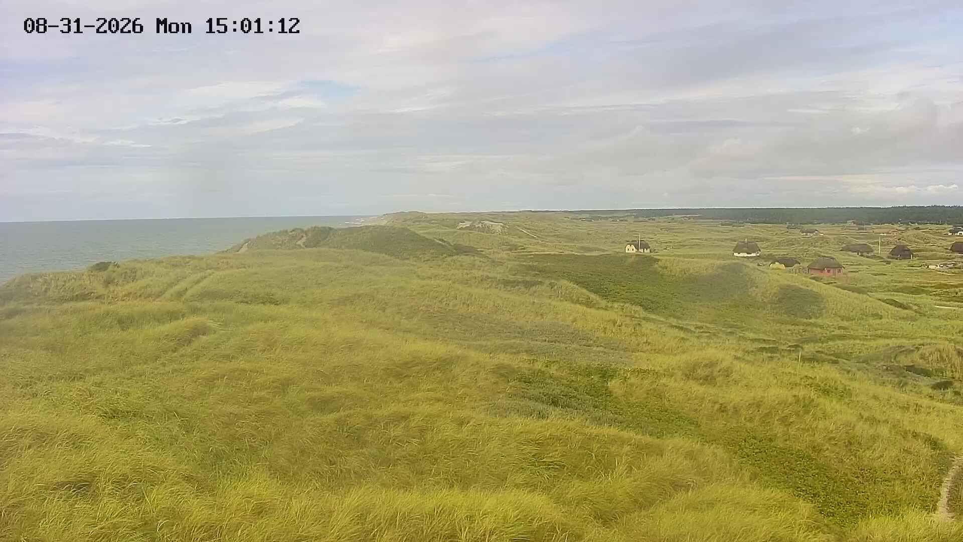 Ringkøbing-Skjern Municipality: Vedersø Klit