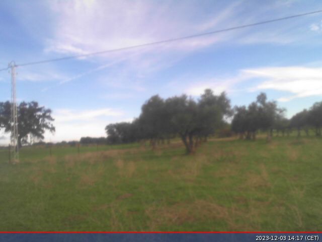 El Viso › South