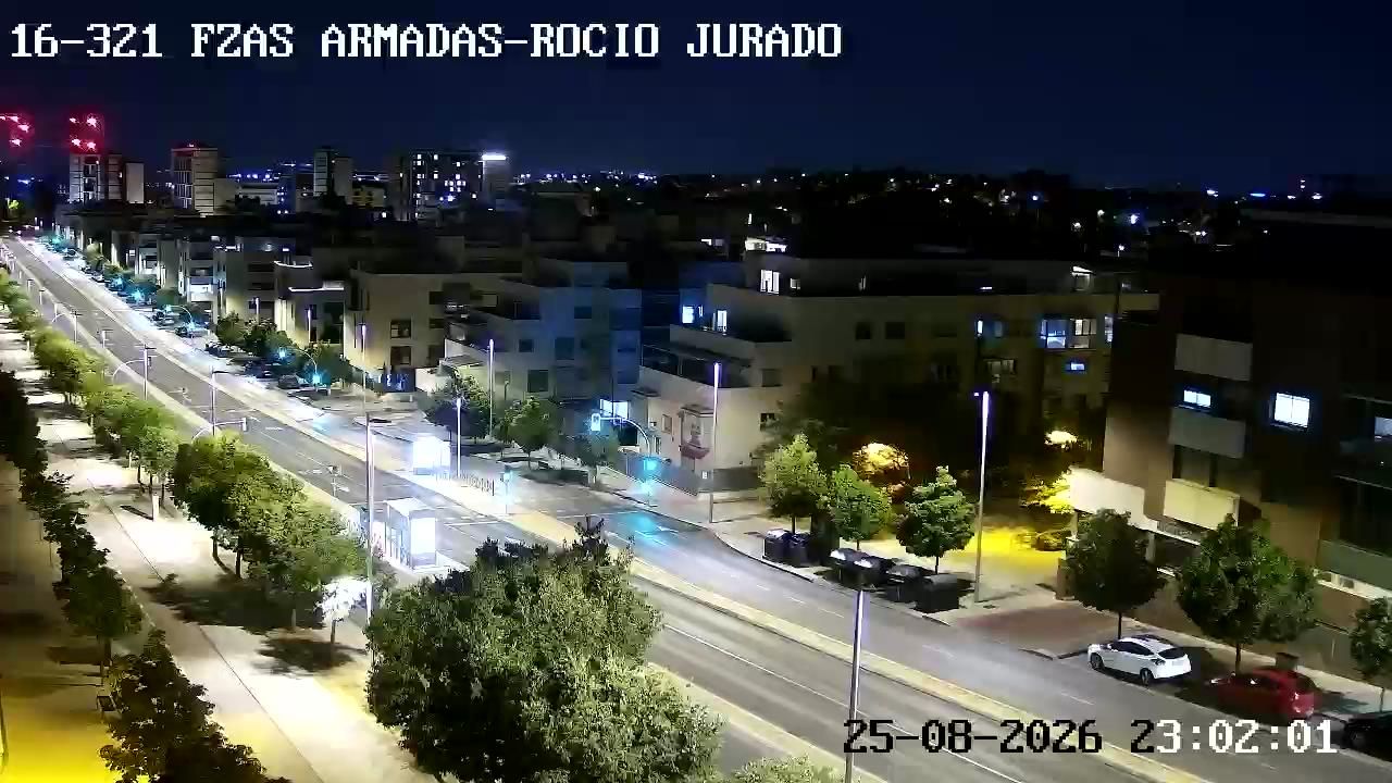 Valdefuentes: FUERZAS ARMADAS - ROC�O JURADO