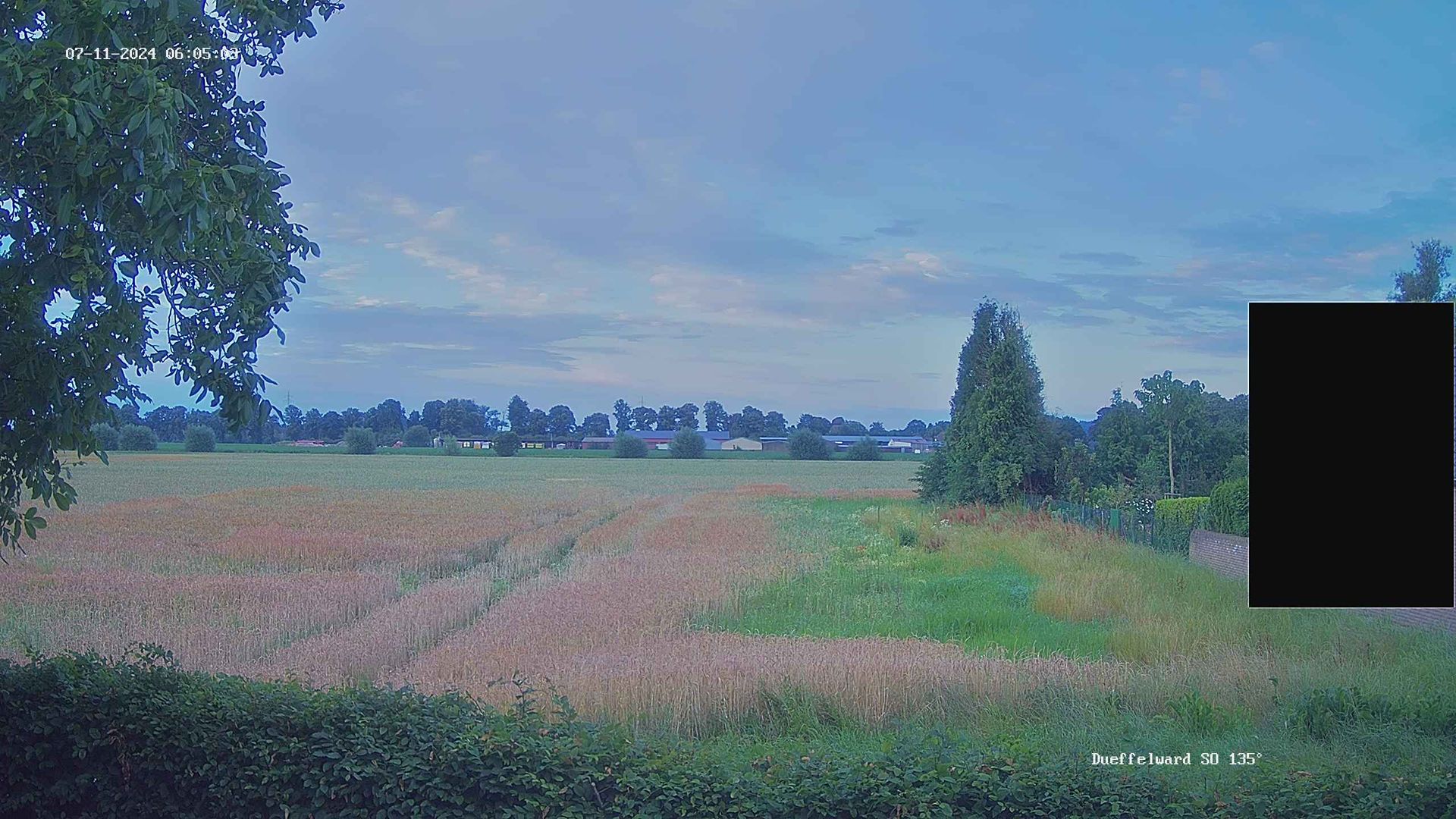 Duffelward: Sky