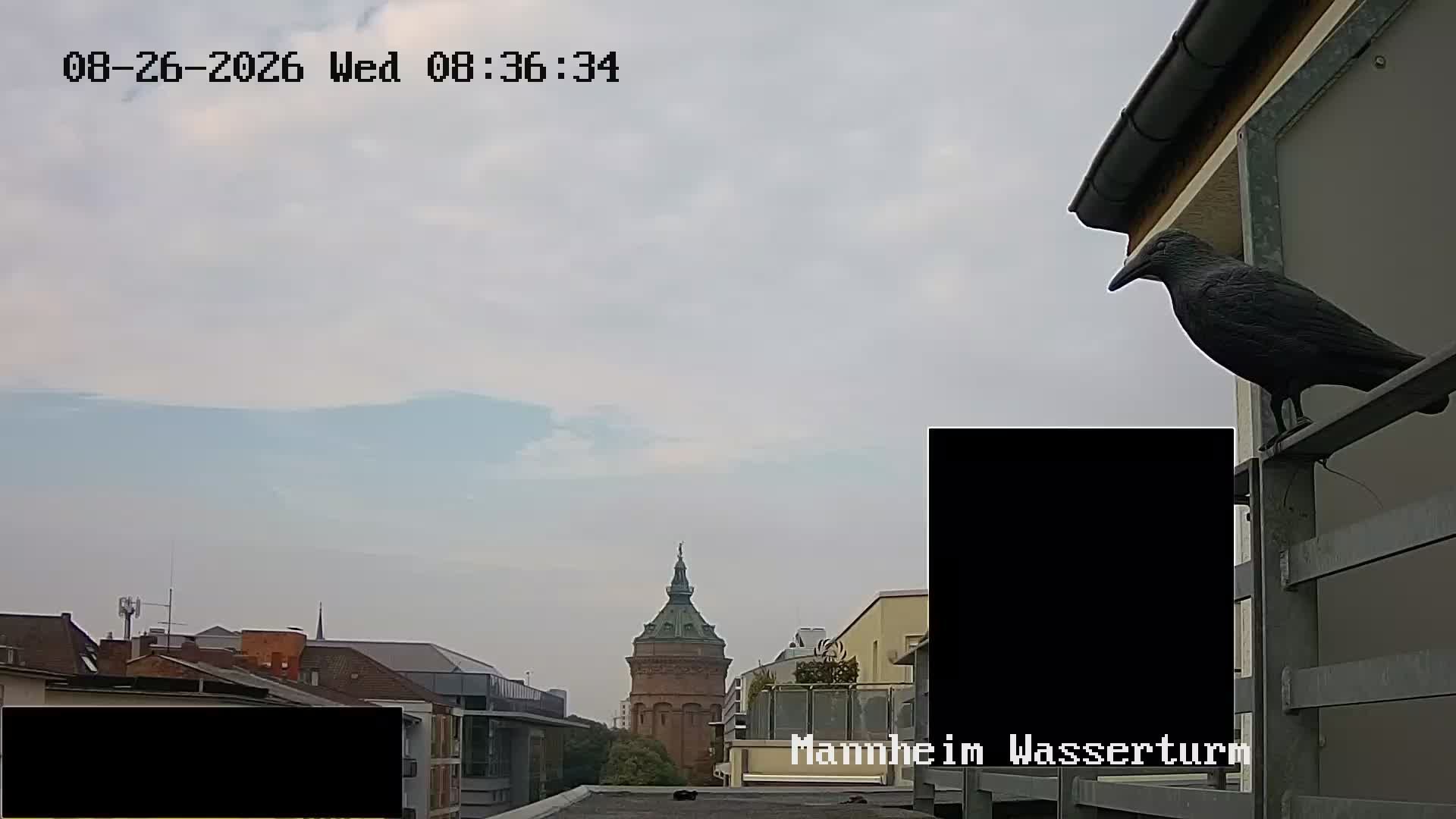 Innenstadt: MANNHEIM WASSERTURM