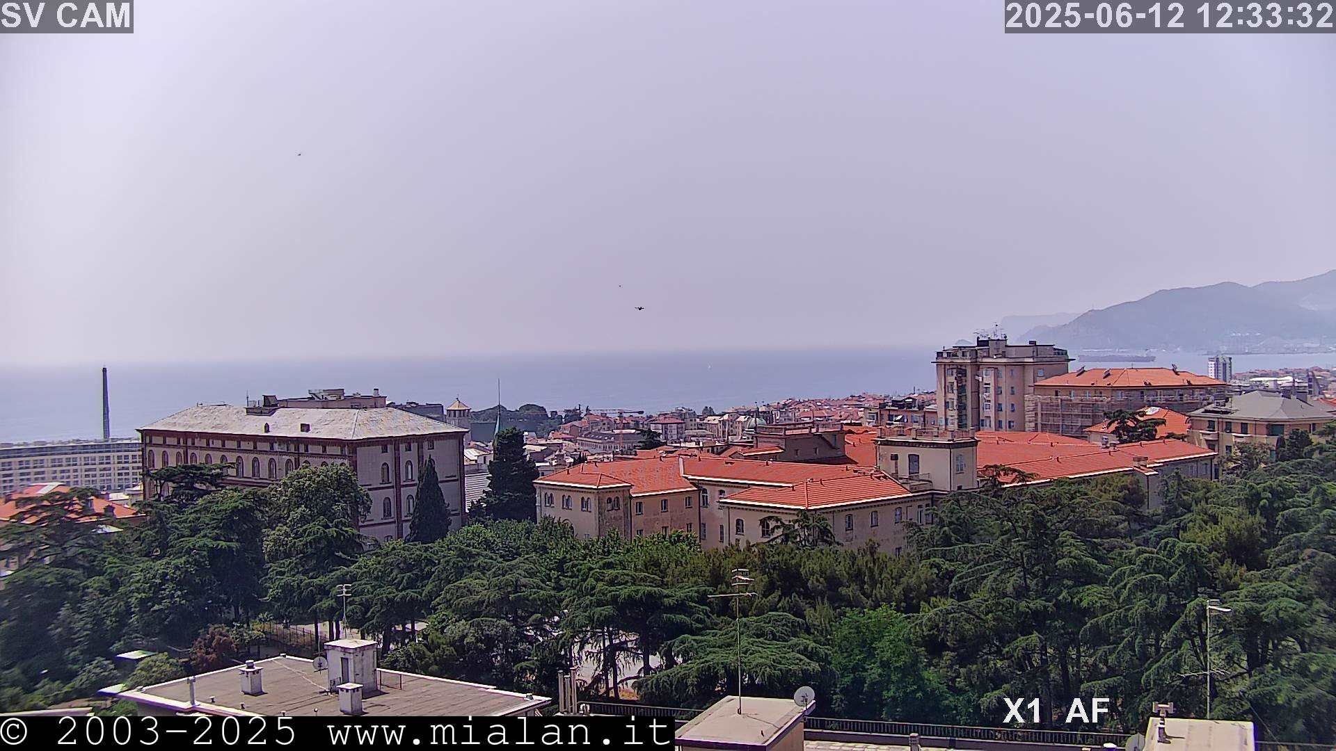 Savona: Porto