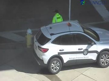 North Shore: REEDSDALE ST @ MAZEROSKI RD