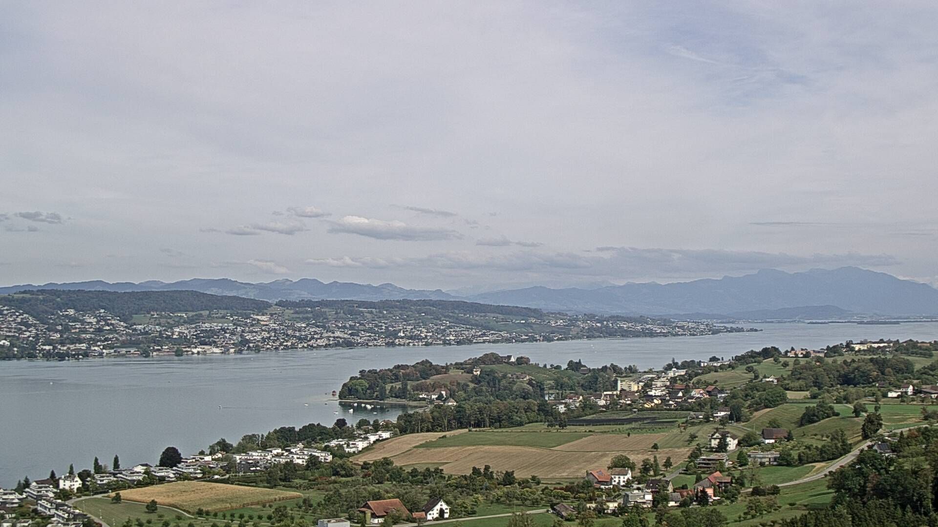 Horgen