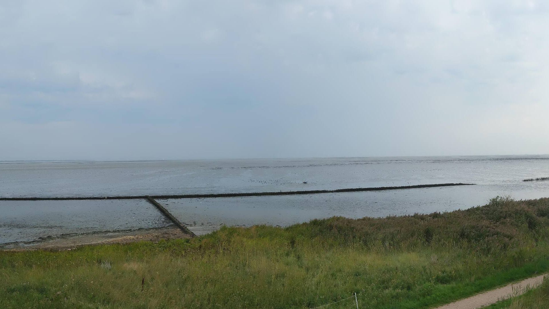 Nebel: Amrum