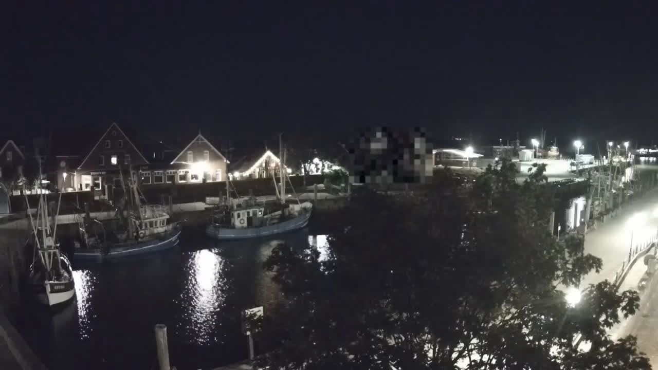 Wirrenburg: Livespotting - Live-Streaming im Fischereihafen Neuharlingersiel