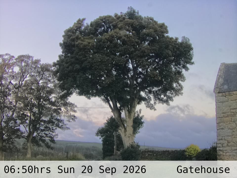 Greenhaugh › North-West: Tarset