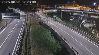 Savona: Zinola
