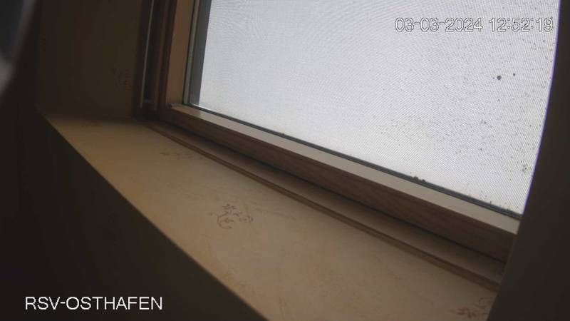 Ratzeburg › North-East