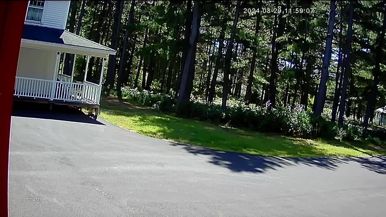 Ossipee: Carroll County