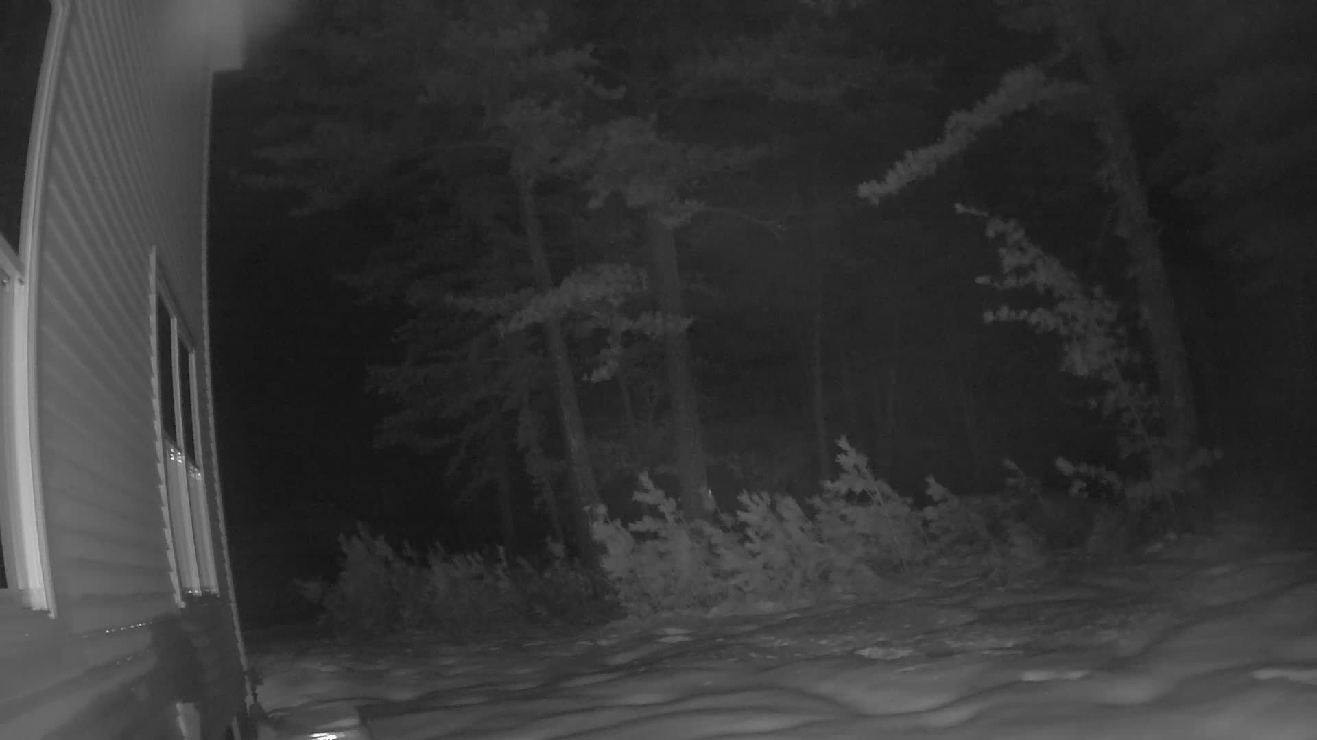 Ossipee: Carroll County