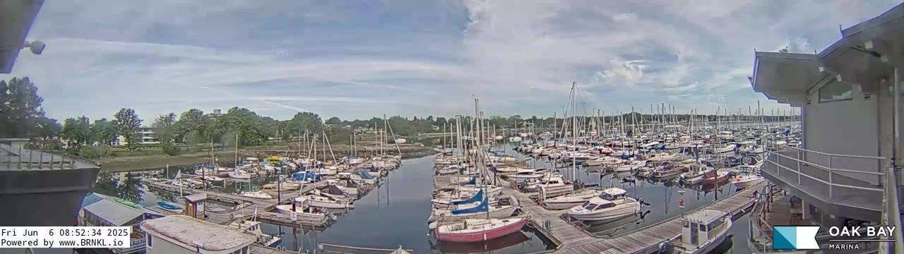 Oak Bay › North-East