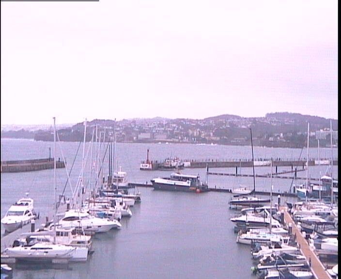 Torquay: Harbour