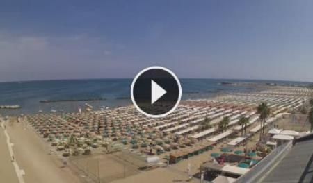 Cattolica