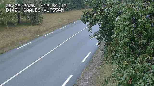 Saales › East: Col de Saales