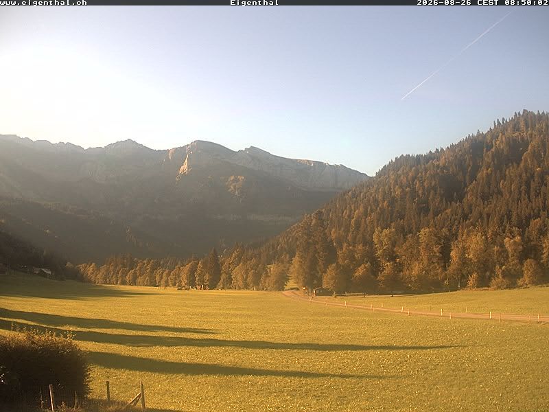 Furtig: Eigenthal