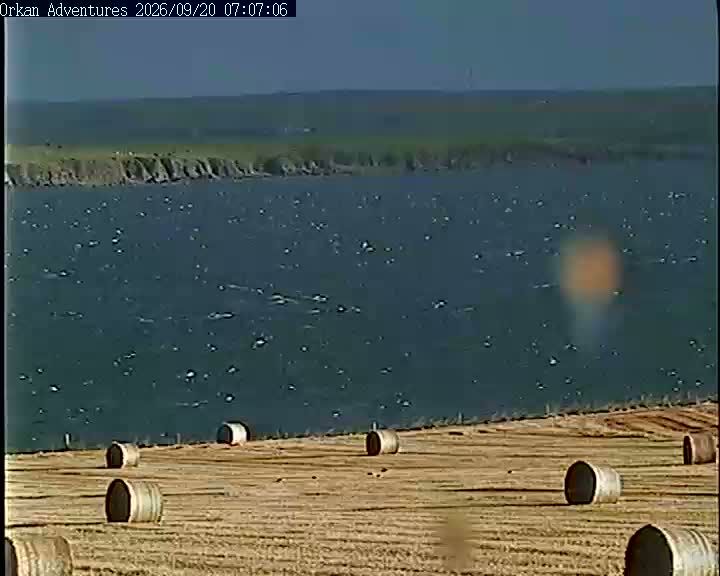 Burray: The Northfield - Orkney, KW17 2SY: Churchill Barrier No. 2, Skerry Sound, Orkney