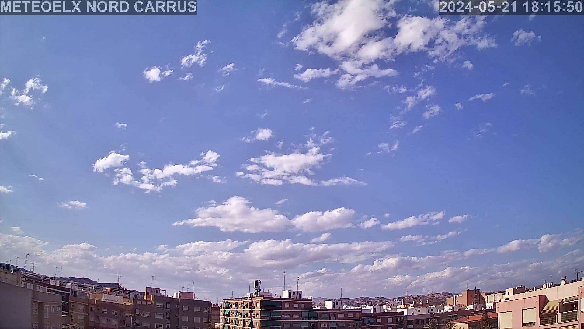 Elx › North: Elche/Elx Carrus