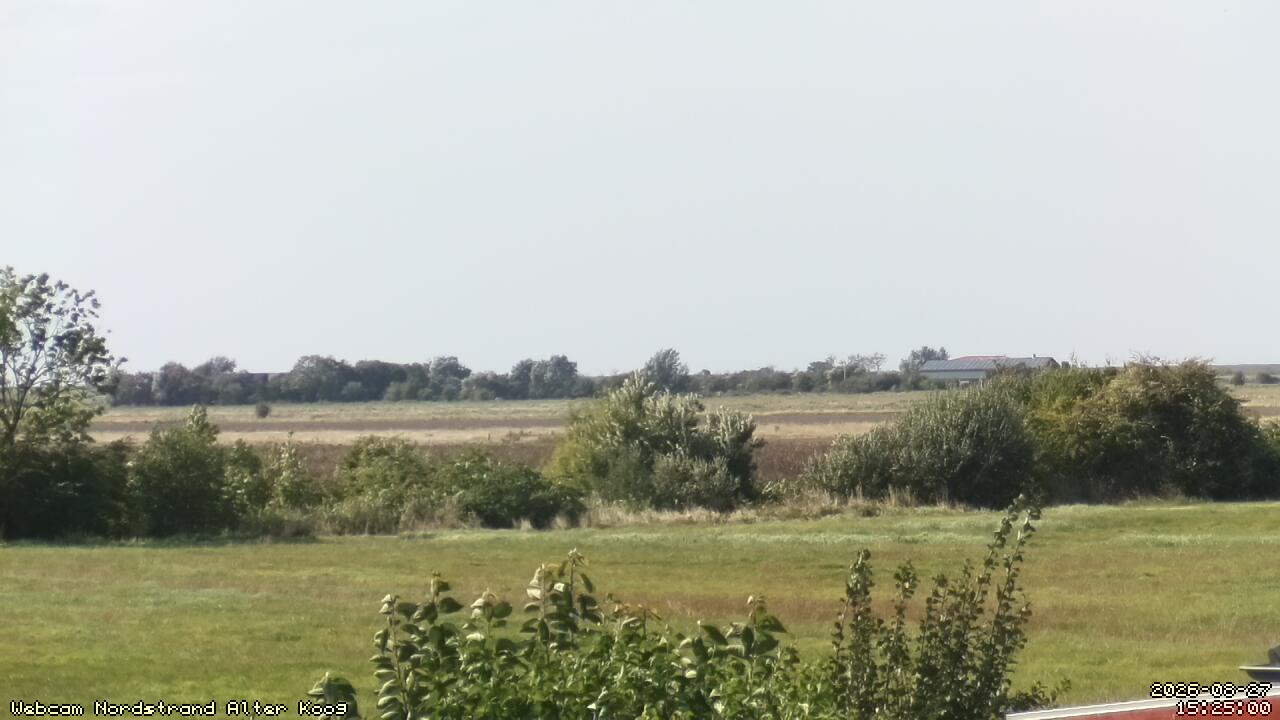 Webcam Nordstrand: Herrendeich Trendermarschkoog