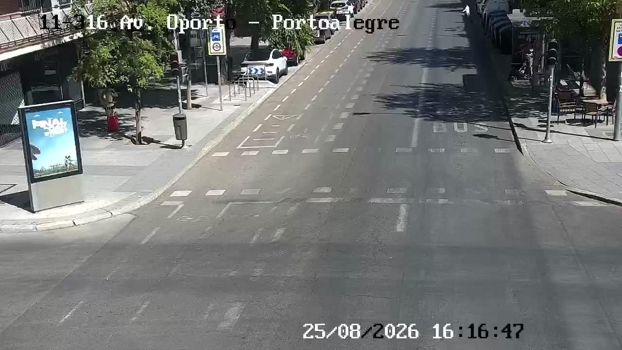 Zofio: OPORTO - PORTALEGRE