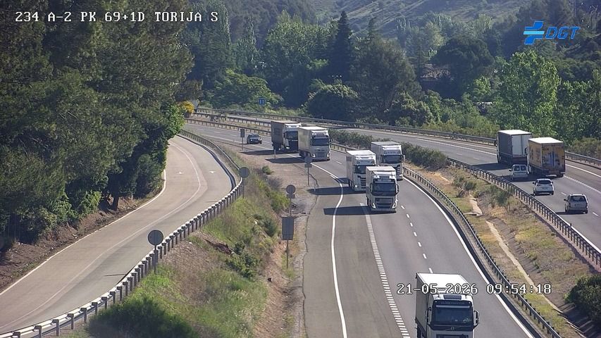 Torija