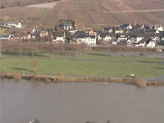 Webcam Enkirch: View of Enkirch