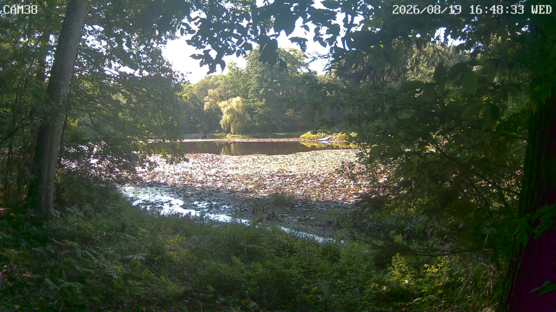 Webcam Averill Park, New York: Willow Pond