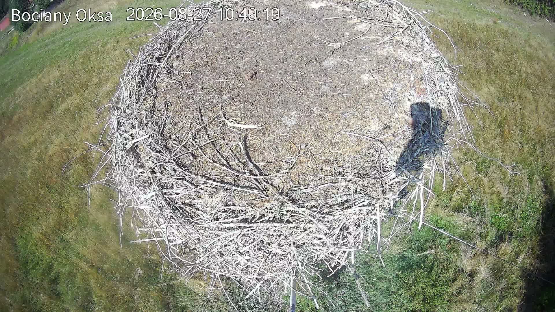 Wegleszyn: Rzeczpospolita