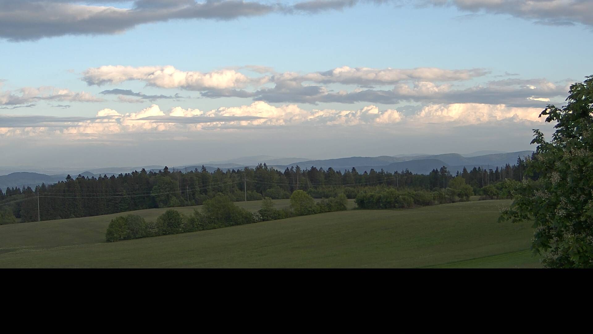 Dachsberg › South: Hotzenwald