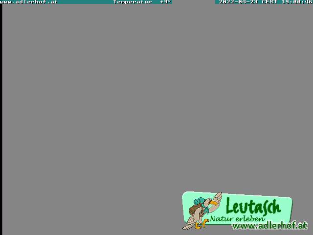 Webcam Leutasch: View over Leutasch