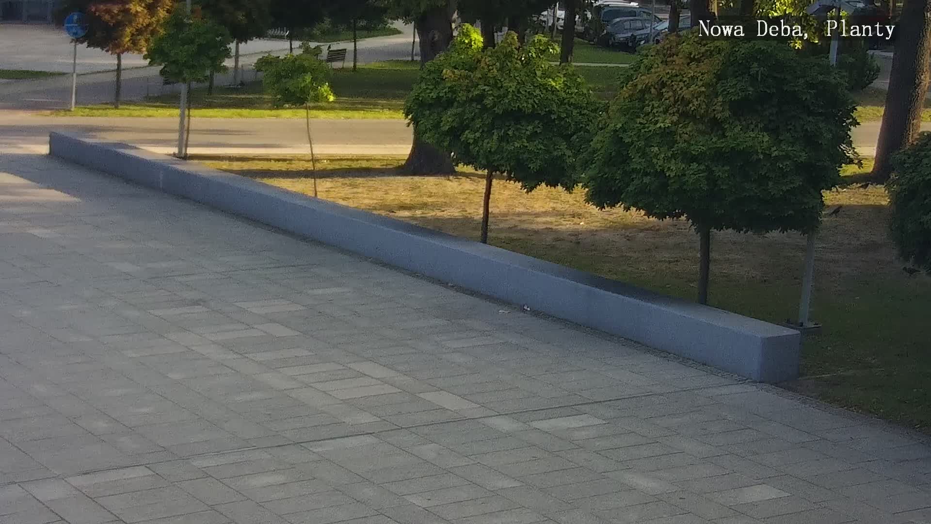 Nowa Deba: Rzeczpospolita