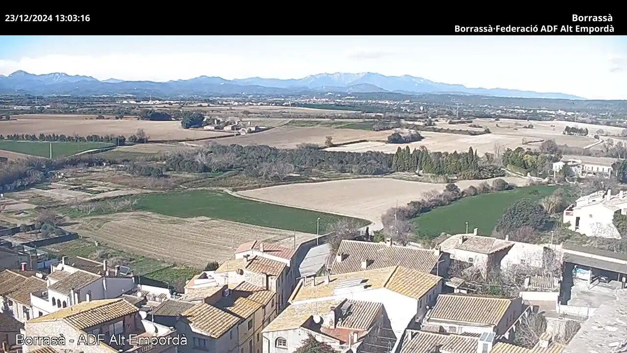 Borrassa