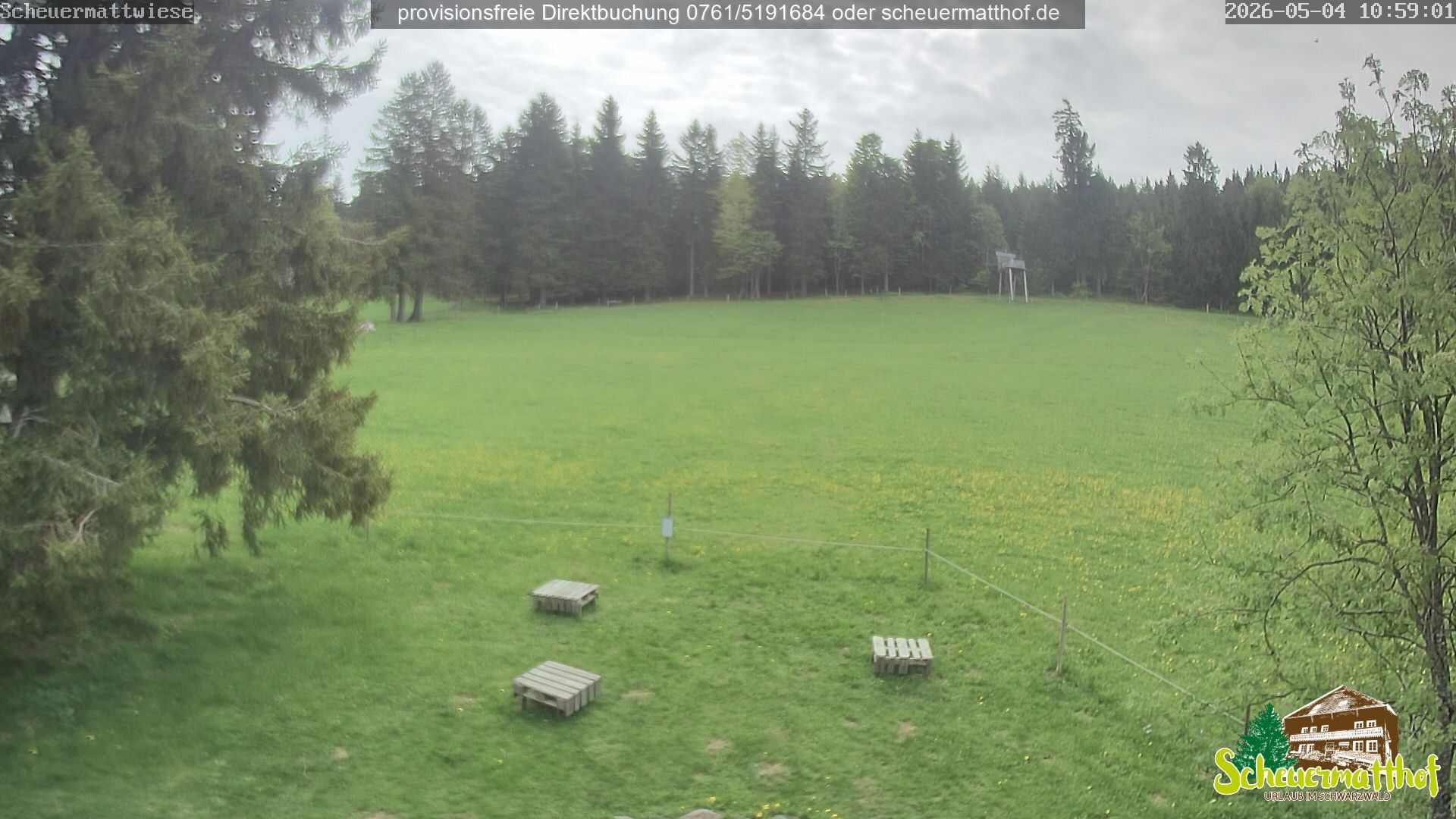 Todtnau › South-East: Ferienwohnung Schwarzwald im Scheuermatthof/Todtnauberg