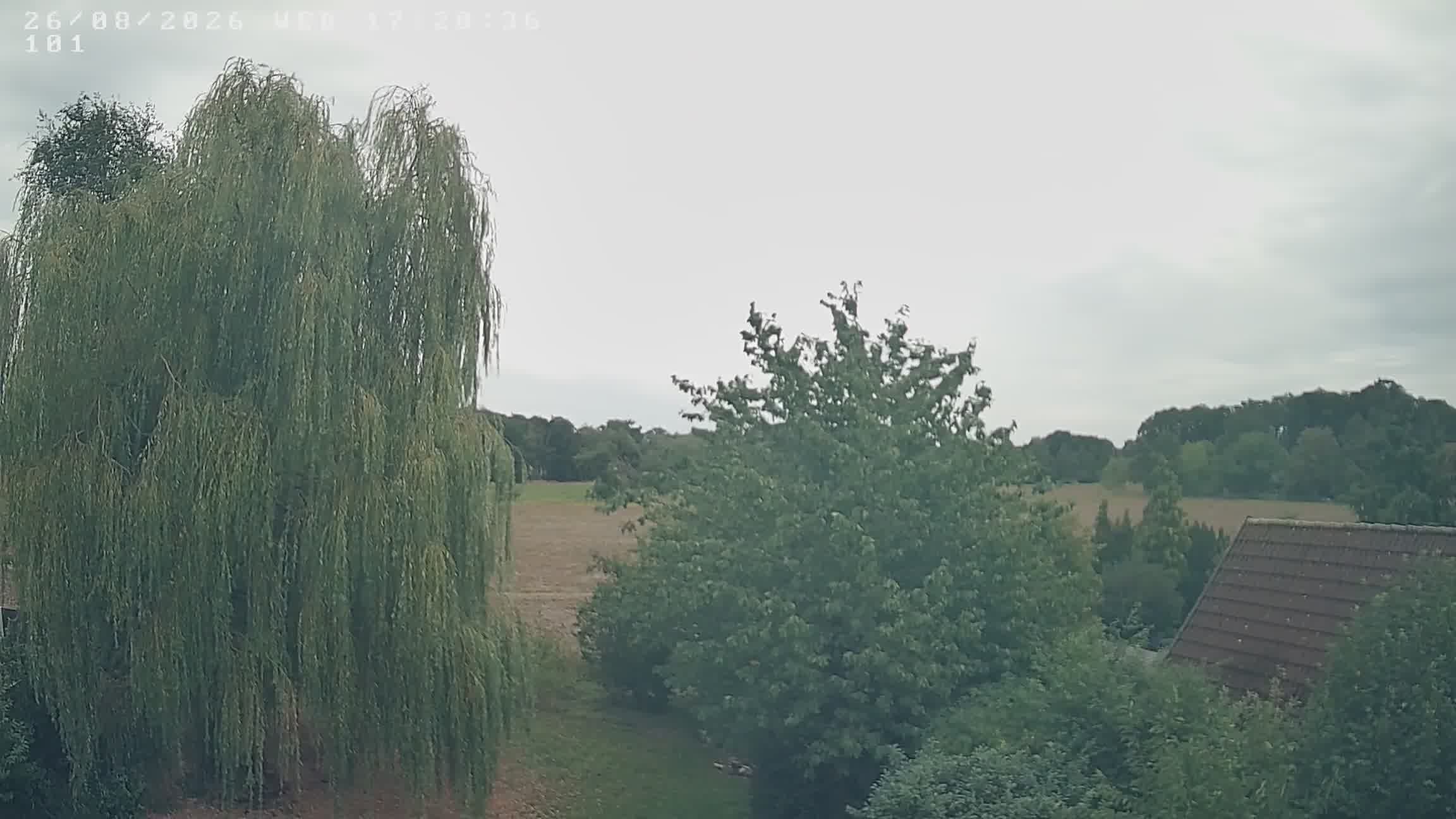 Webcam Mandelsloh: Landscape View